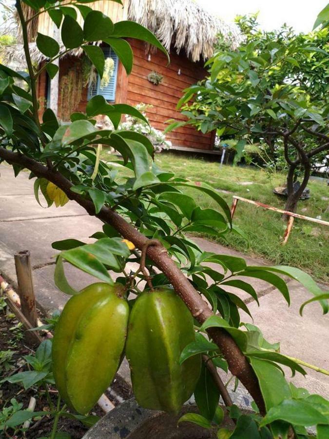 Bach Cuc Homestay Long Hai Exteriör bild